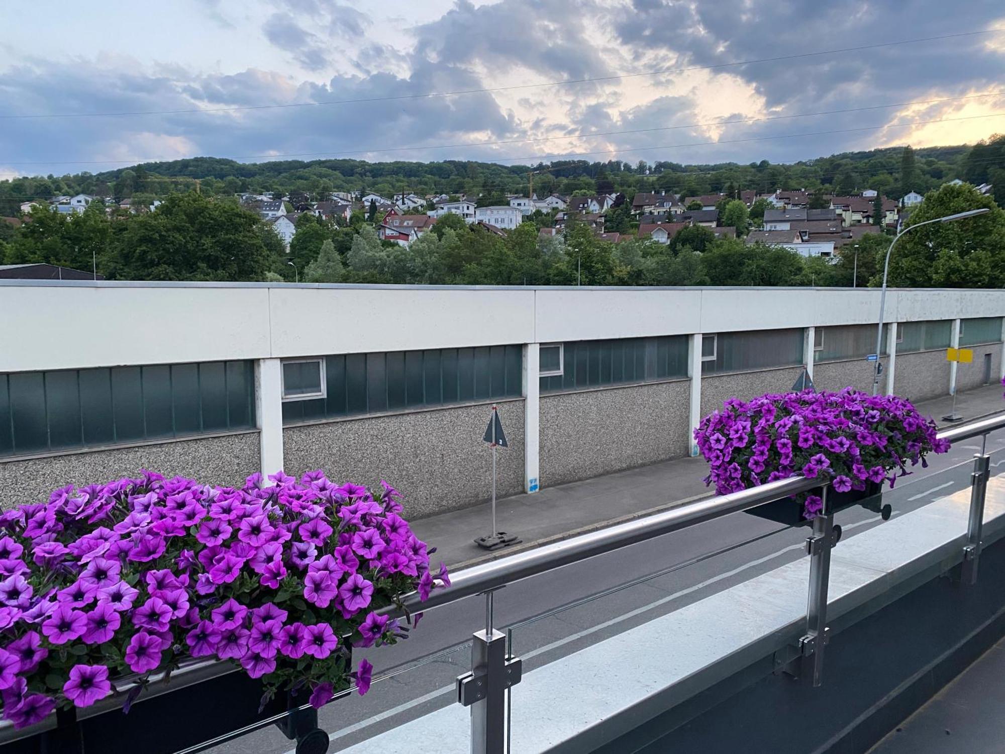 Guenstiges Privatzimmer Lörrach Zewnętrze zdjęcie